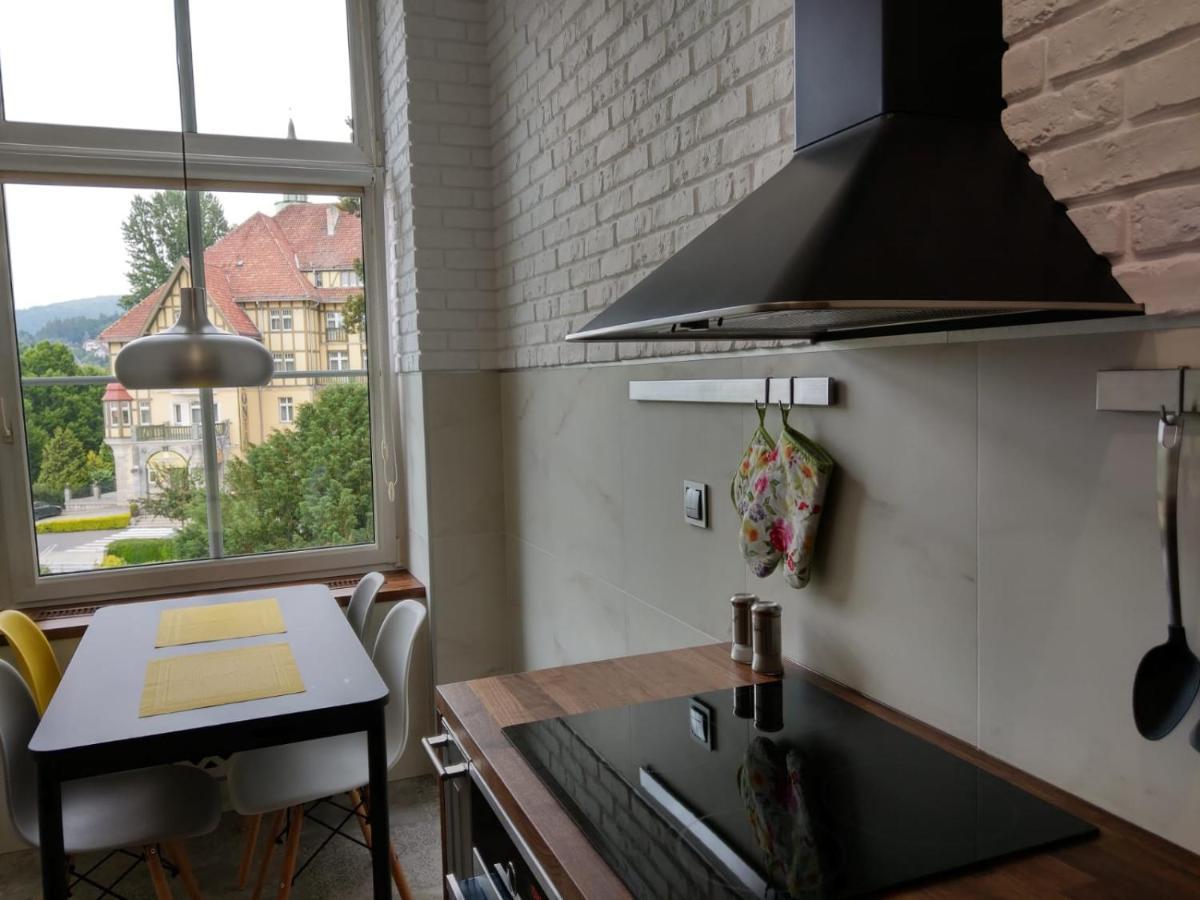Apartament Zdrojowa 45 Kudowa-Zdroj Dış mekan fotoğraf